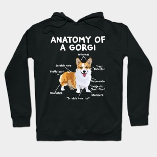 Anatomy of a Corgi Hoodie